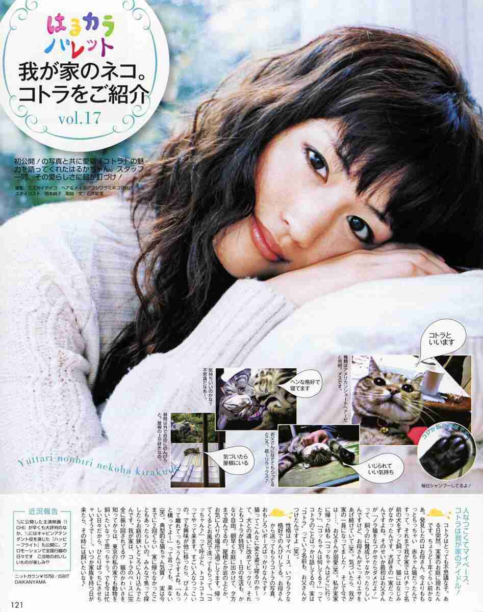 ぶっちゃけそこまでキレイか!?「美女扱いが謎だと思う芸能人」