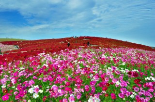 関東近郊の日帰り旅行