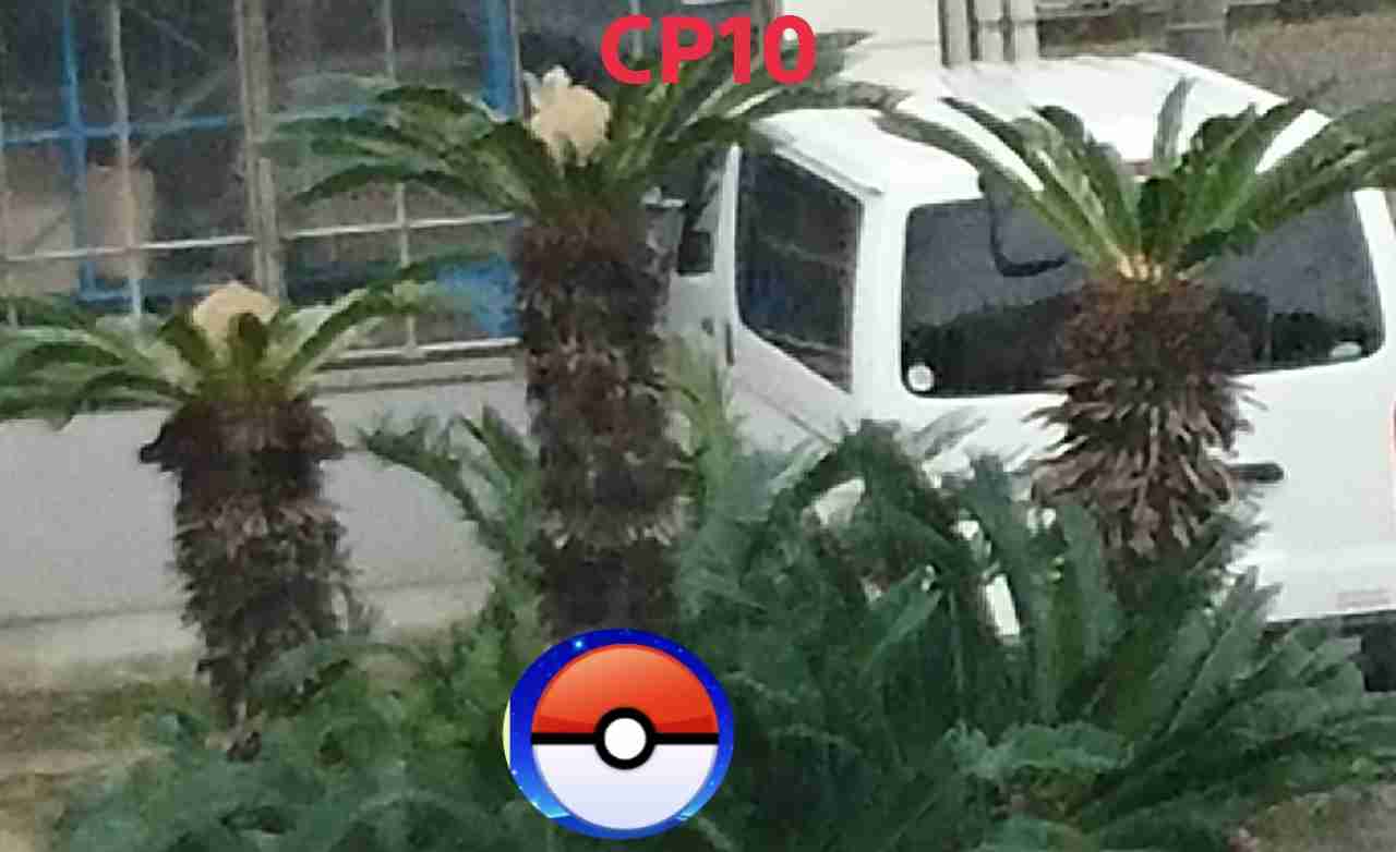 『ポケモンGO』をプレイしてる方専用トピpart3