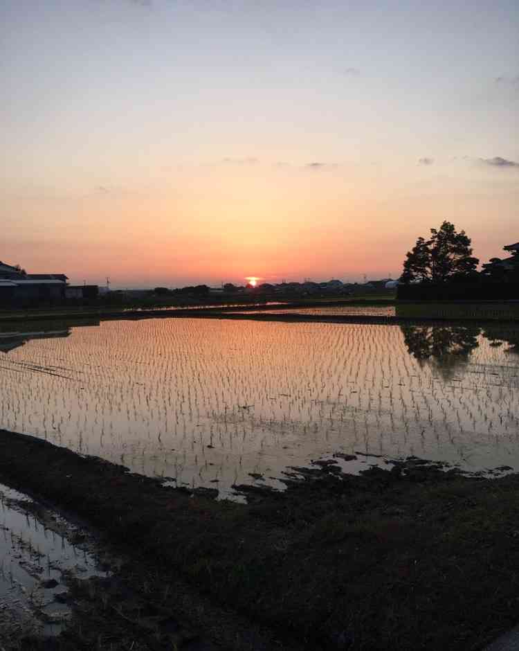 田舎あるある！を語ってみよう
