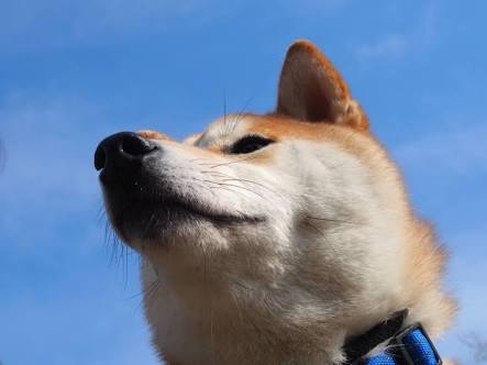 田舎あるある！を語ってみよう