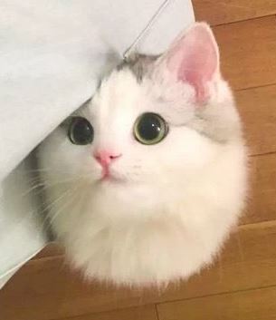 他のトピに疲れたら休憩するトピPart5