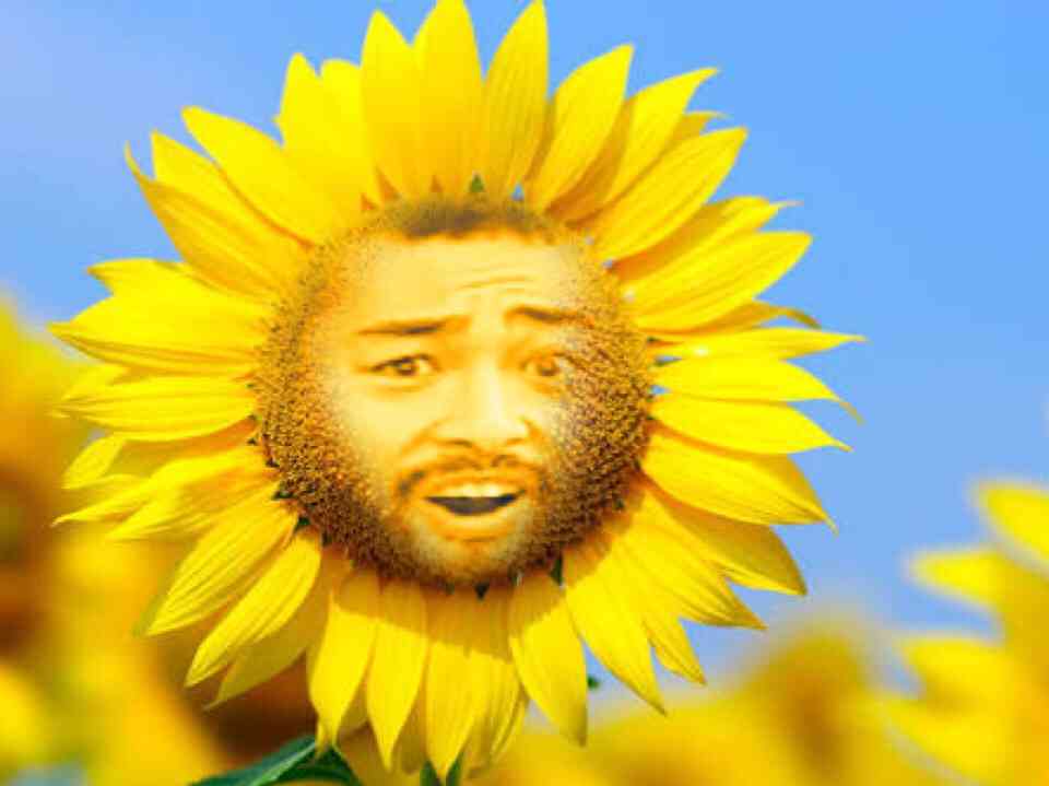 画像で遊ぼうのトピ