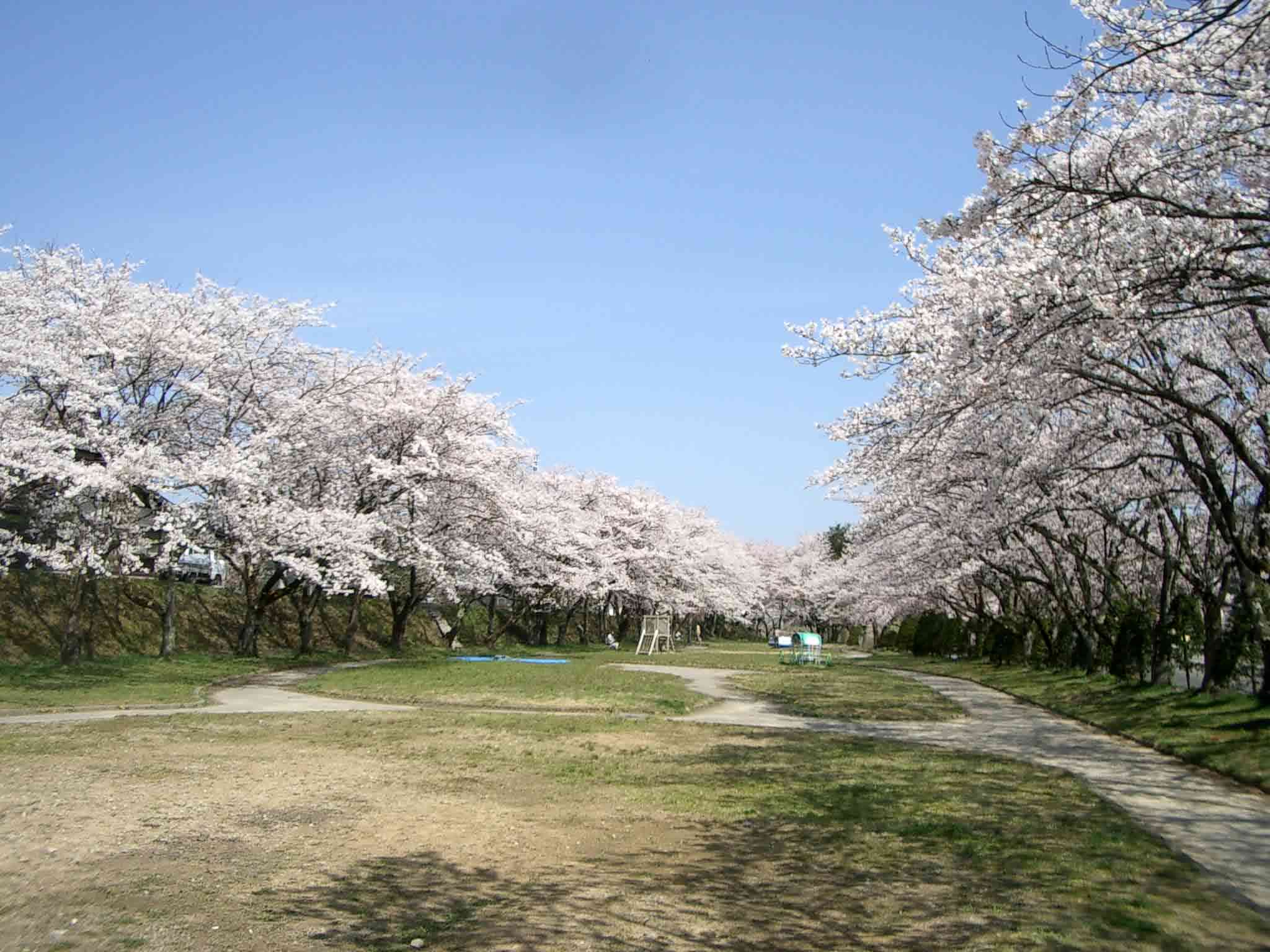 自分だけのパワースポット（写真大歓迎！）