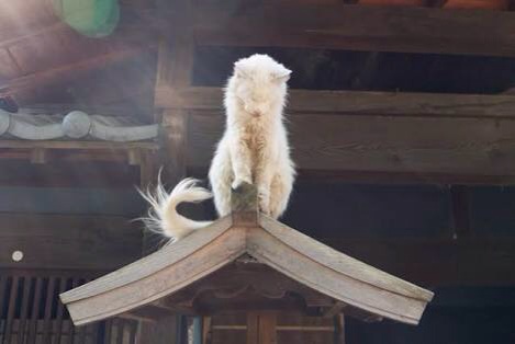 自分だけのパワースポット（写真大歓迎！）