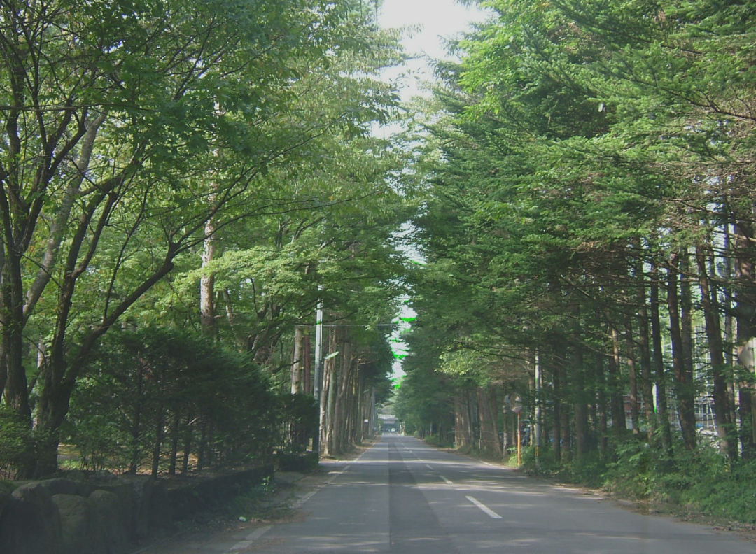 自分だけのパワースポット（写真大歓迎！）