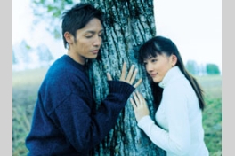 個人的にカップルになってほしい組み合わせの芸能人
