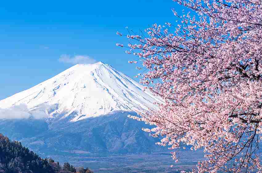 海外へ行って痛感した日本の良いところ、悪いところ