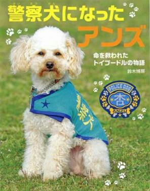 最近、本を買いましたか？