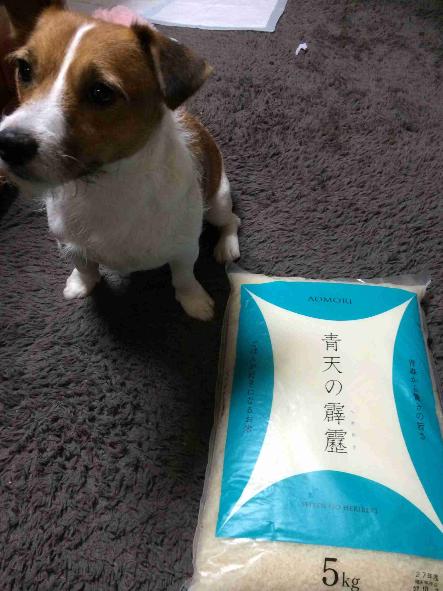 初めて食べたときに美味しくてビックリした食べ物は？