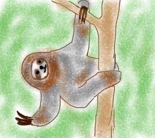 生き物を描こう！