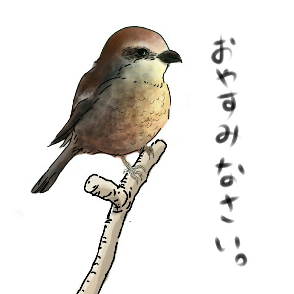 生き物を描こう！