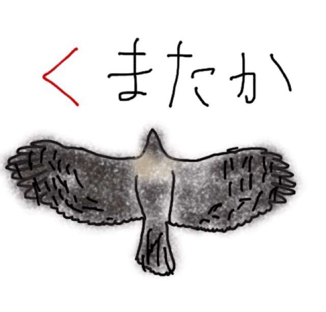生き物を描こう！