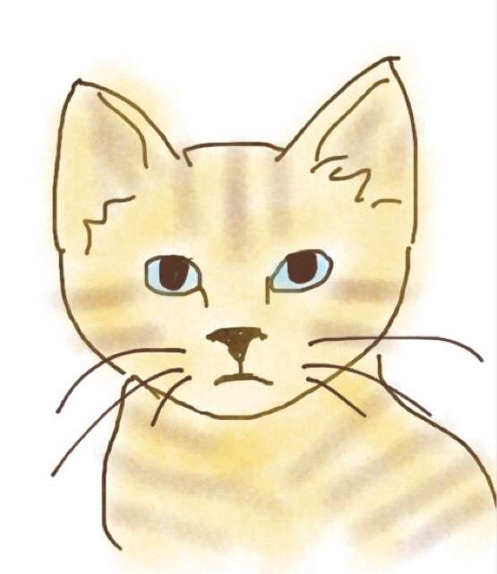 生き物を描こう！