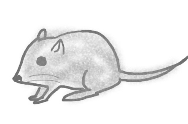 生き物を描こう！