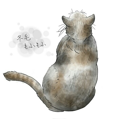 生き物を描こう！