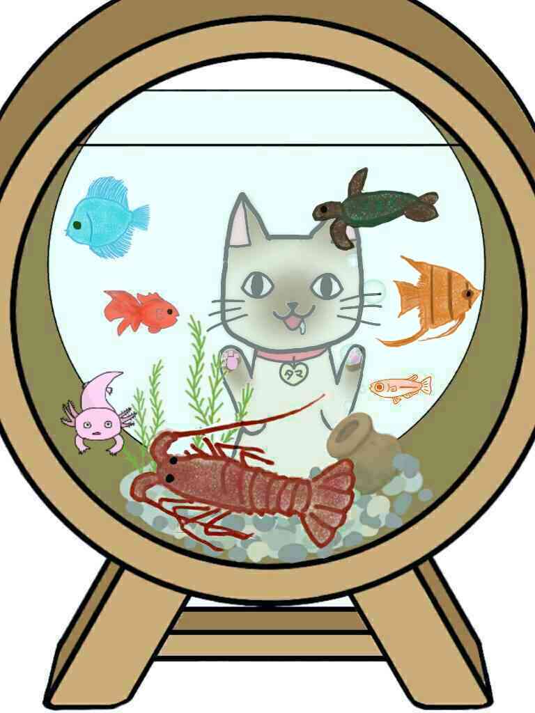 生き物を描こう！