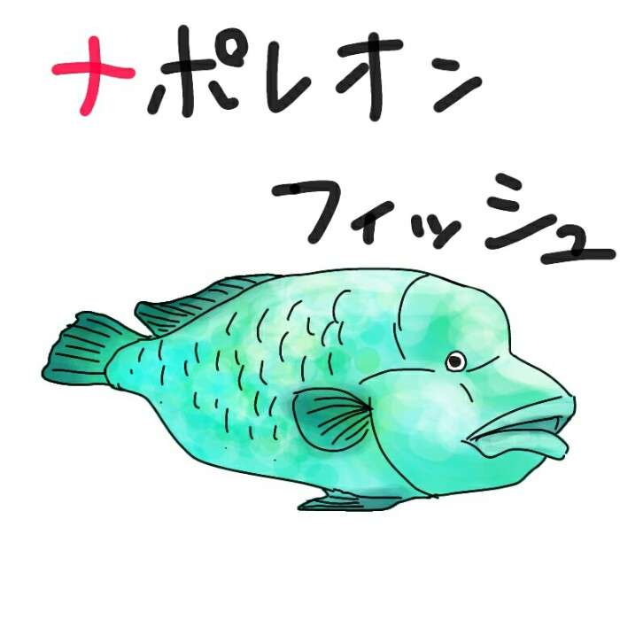 生き物を描こう！