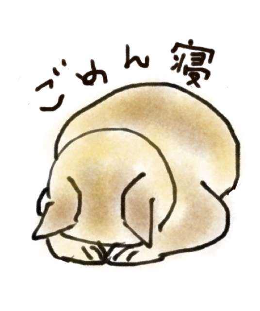 生き物を描こう！