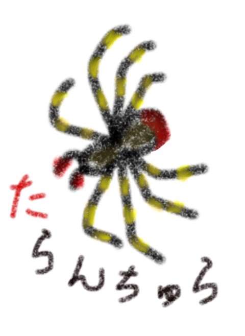 生き物を描こう！