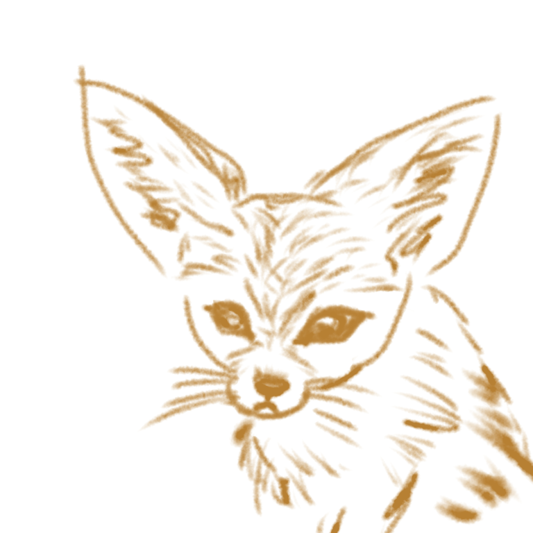 生き物を描こう！