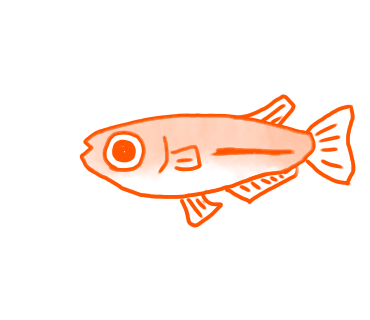 生き物を描こう！