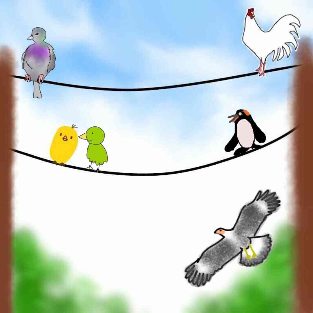 生き物を描こう！