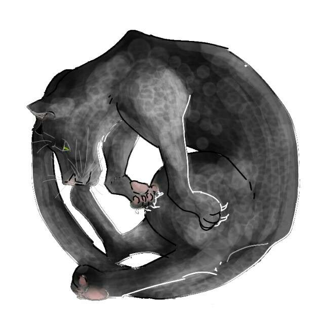 生き物を描こう！