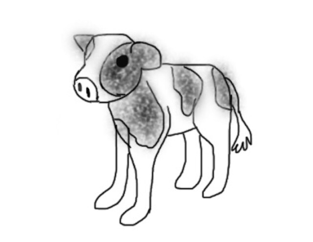 生き物を描こう！