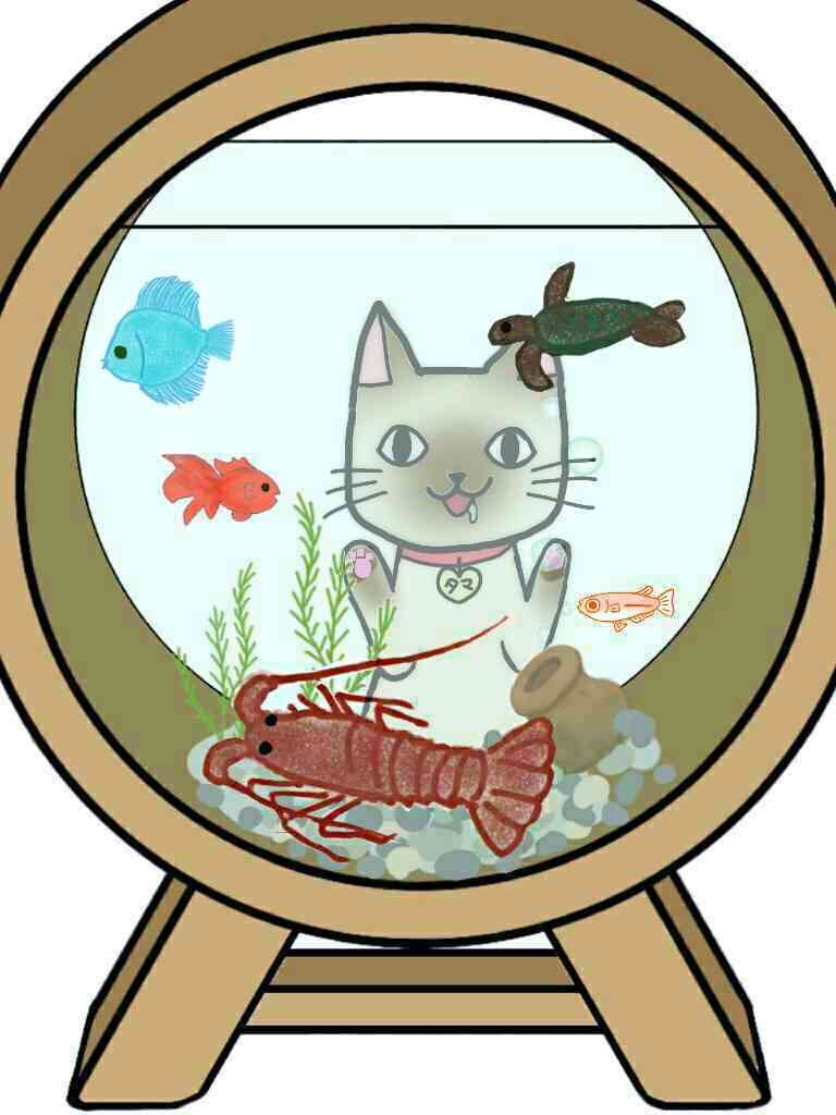 生き物を描こう！