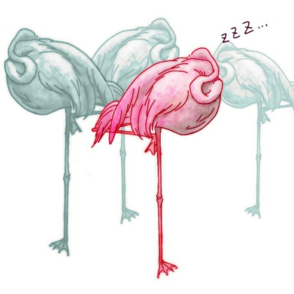 生き物を描こう！