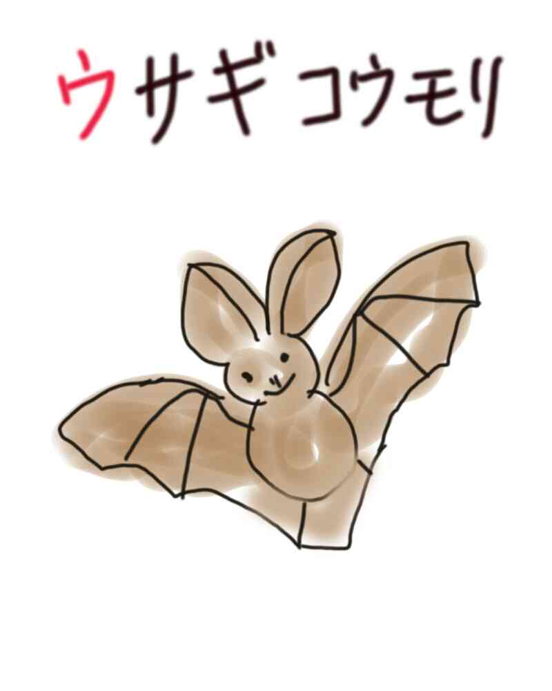 生き物を描こう！