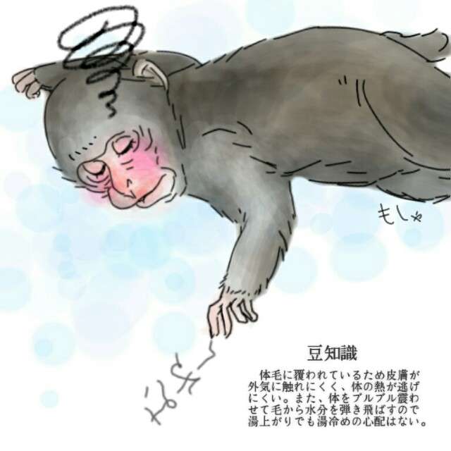 生き物を描こう！