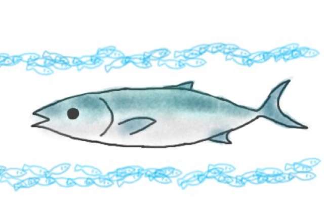 生き物を描こう！