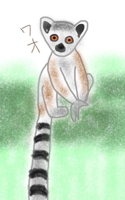 生き物を描こう！
