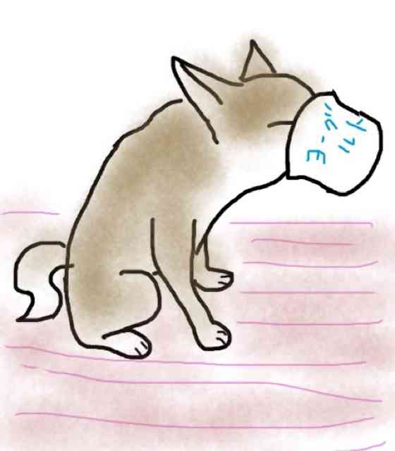 生き物を描こう！