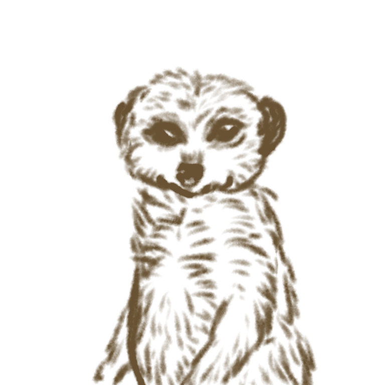 生き物を描こう！