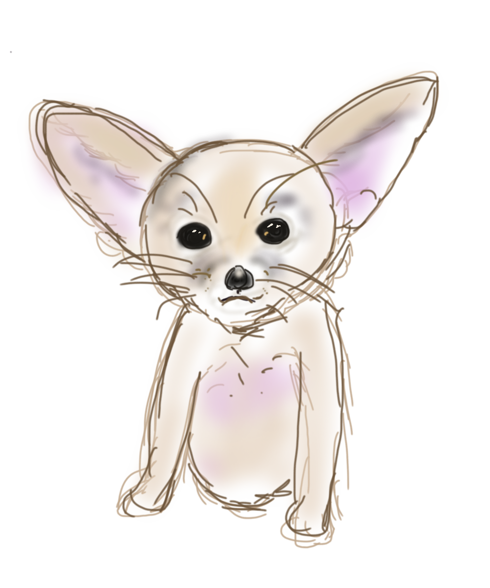 生き物を描こう！
