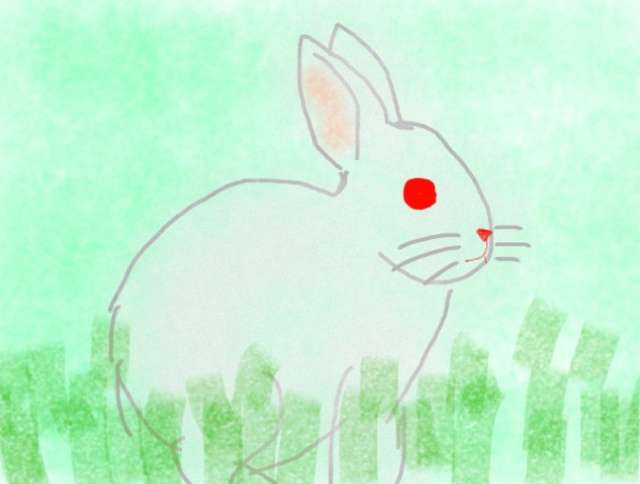 生き物を描こう！