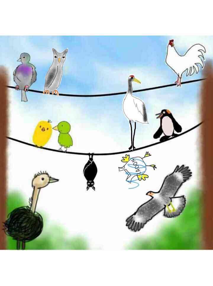 生き物を描こう！