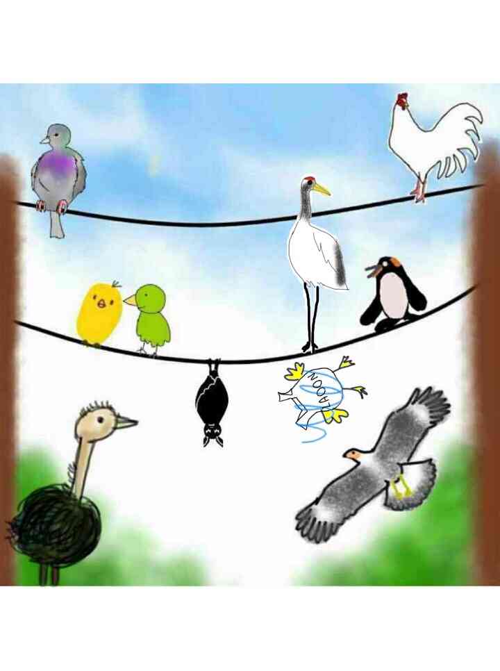 生き物を描こう！