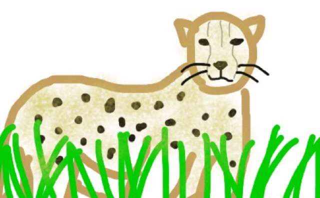 生き物を描こう！
