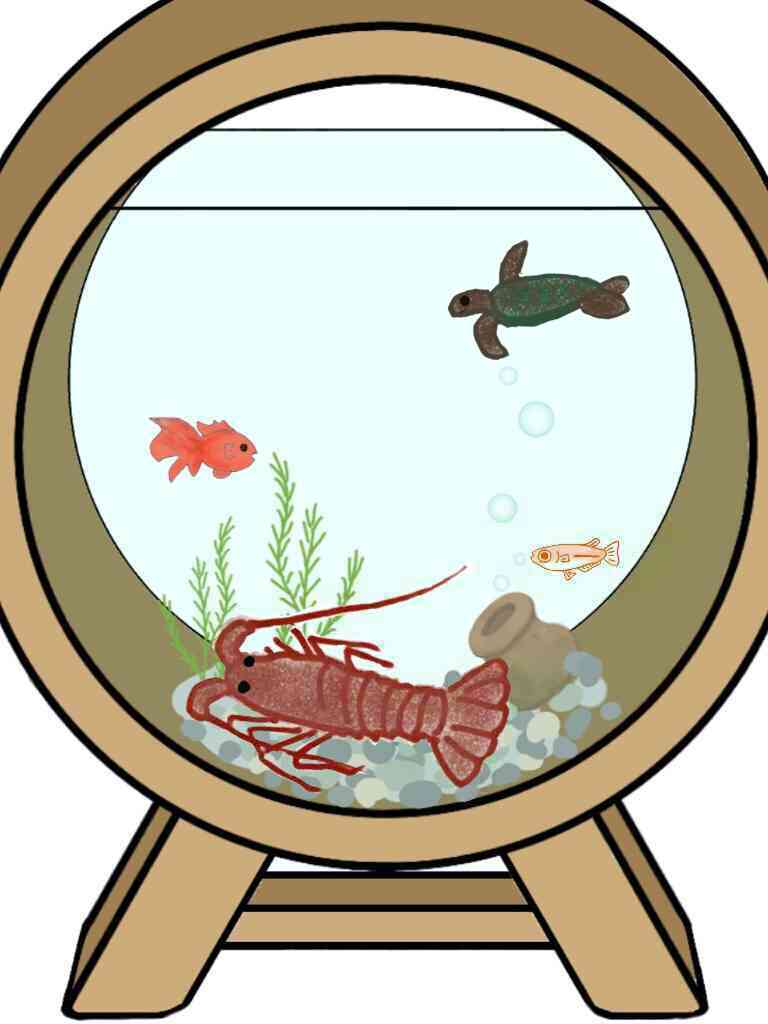 生き物を描こう！
