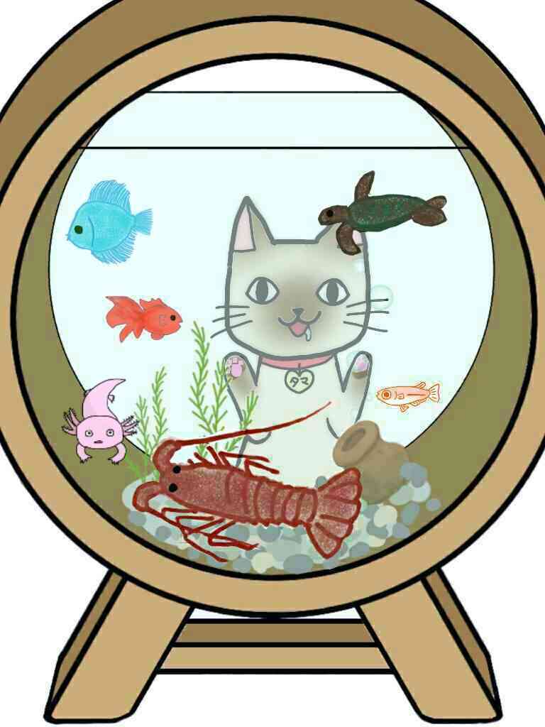 生き物を描こう！