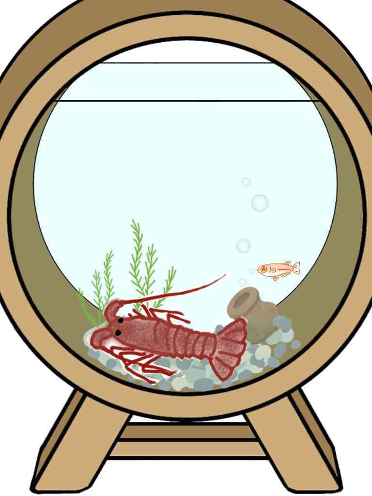 生き物を描こう！