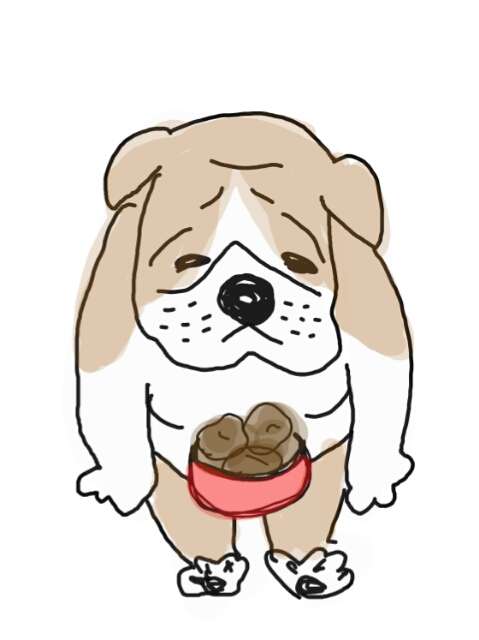 生き物を描こう！