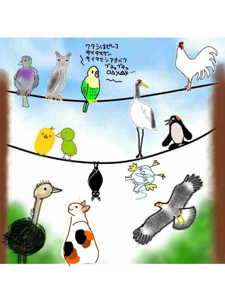 生き物を描こう！