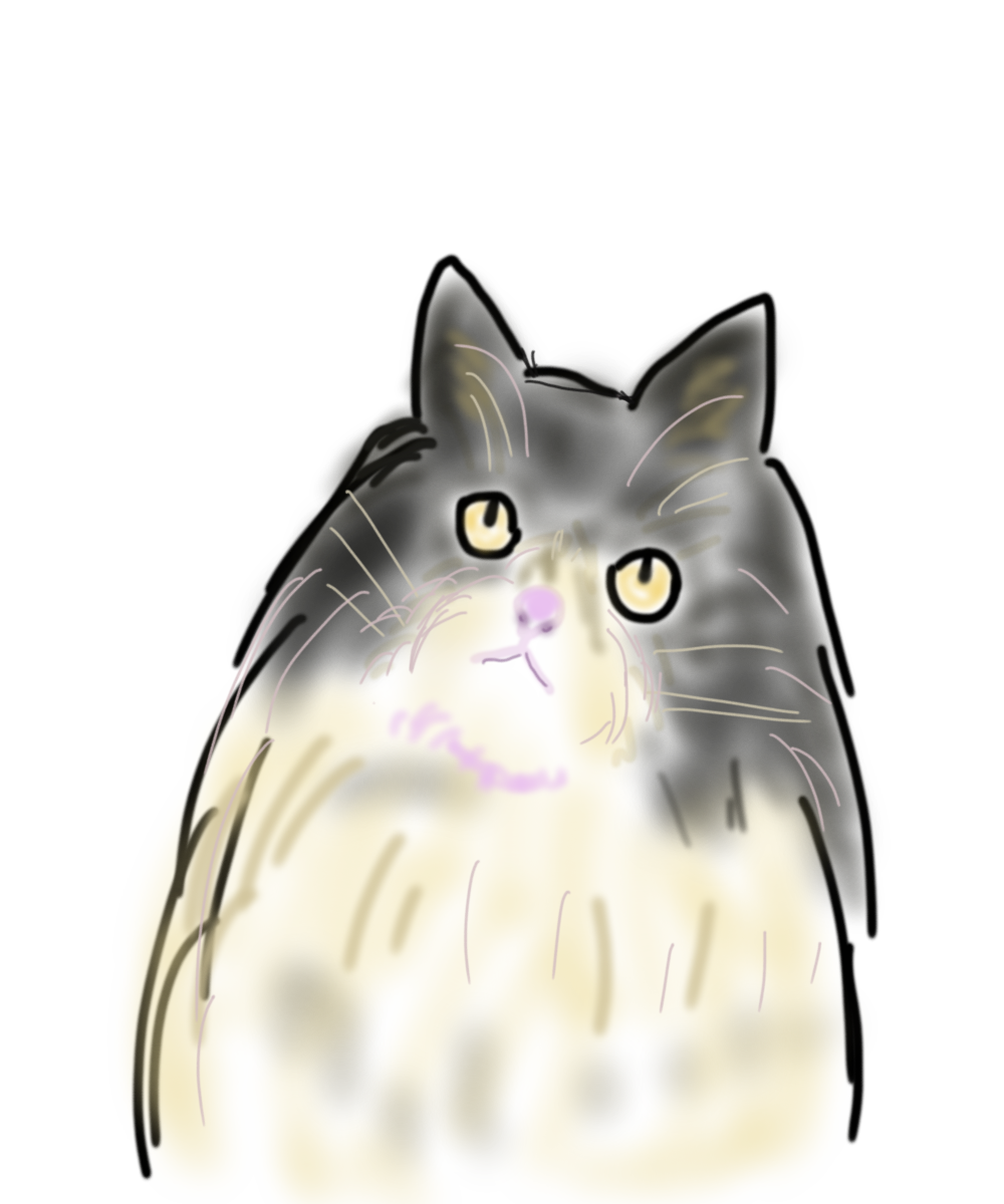 生き物を描こう！
