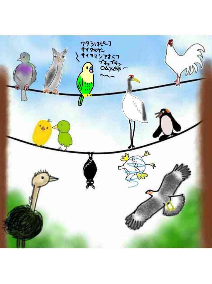 生き物を描こう！