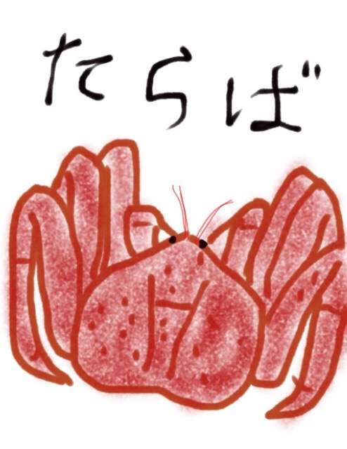 生き物を描こう！